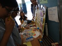 IMG 7929