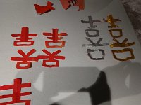 DSC 1223