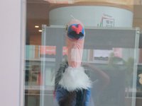 IMG 6888